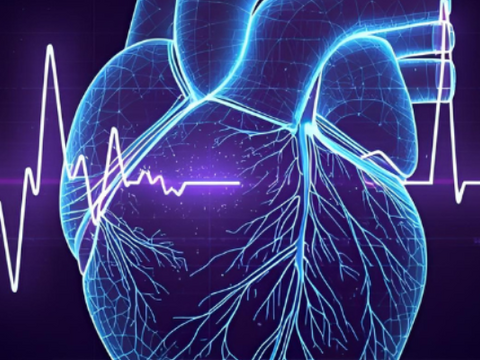 Sonus Ventures Partnership